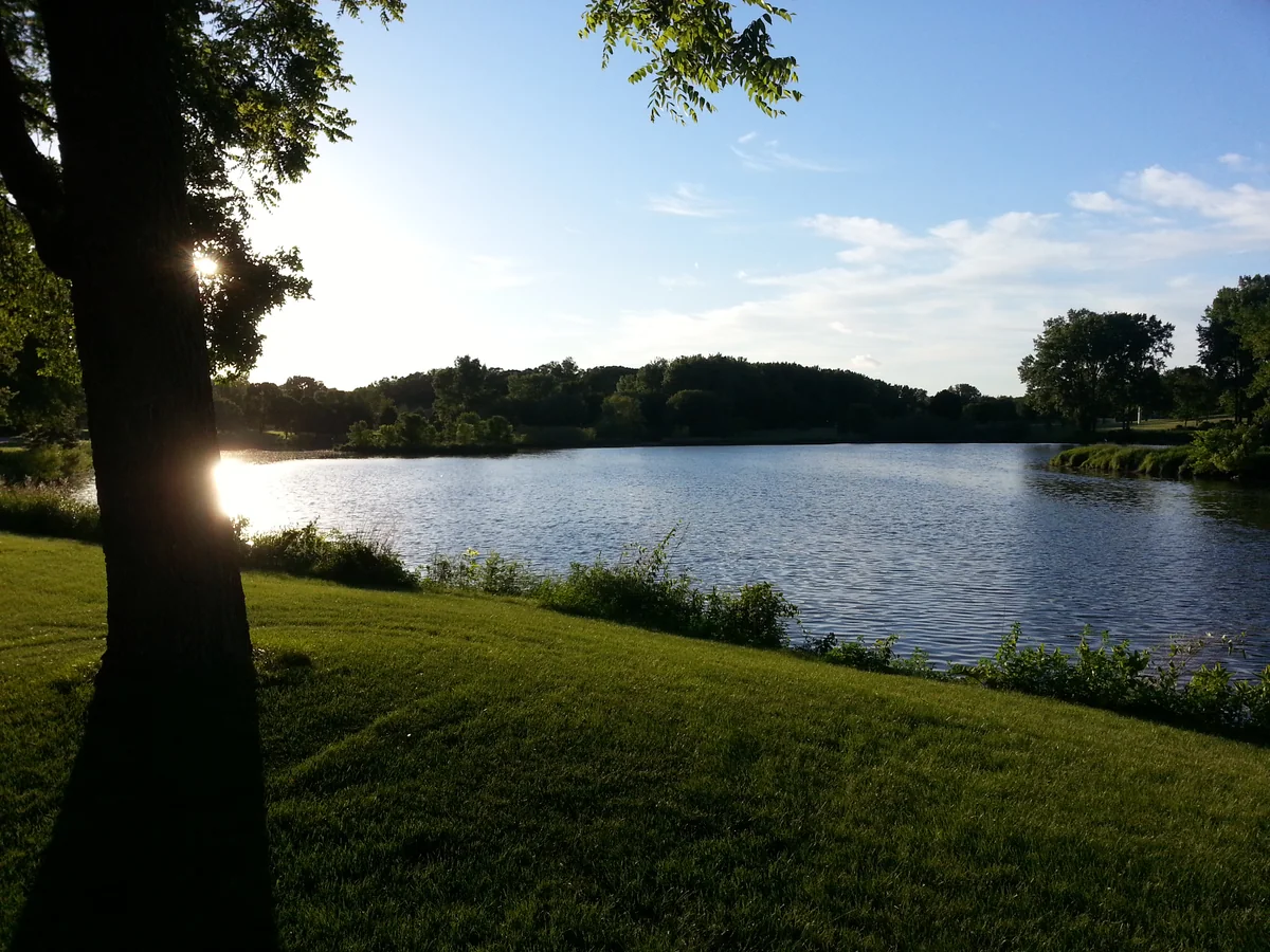 Grassy shaded bank beside a pond and a wooded far shore at Bassett Creek Park in Crystal