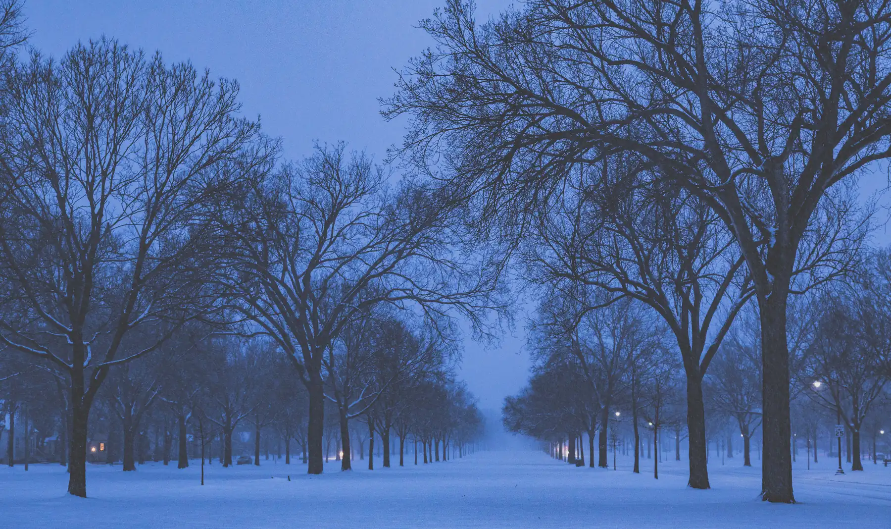 Snow-covered median lined with bare trees and residential streets on either side of Victory Memorial Drive at dusk