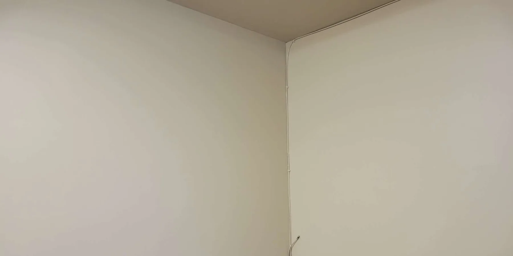 White wall after · St. Paul