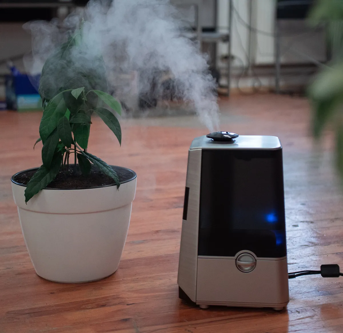 A plugged in humidifier on a wood floor sending up a plume of mist beside a potted plant