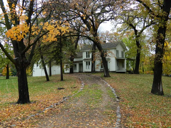 White two-story clapboard farmhouse among oak and maple trees with yellow fall leaves, a leaf-covered lawn and a stone-edged gravel drive in late October in Hutchinson, Minnesota