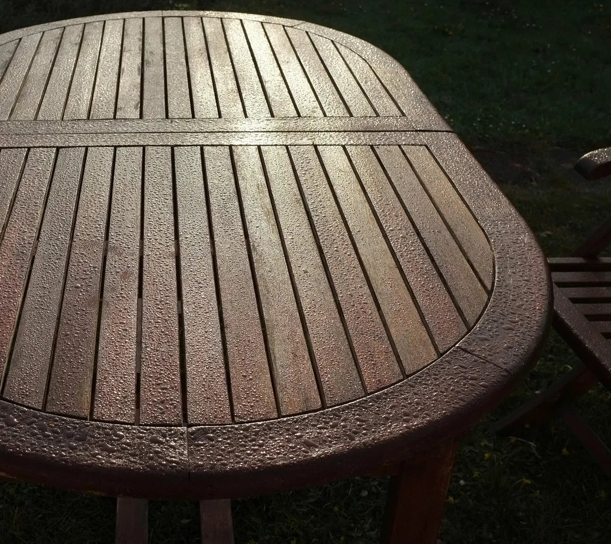 Morning dew beaded across the slats of a stained wooden garden table in low early sunlight