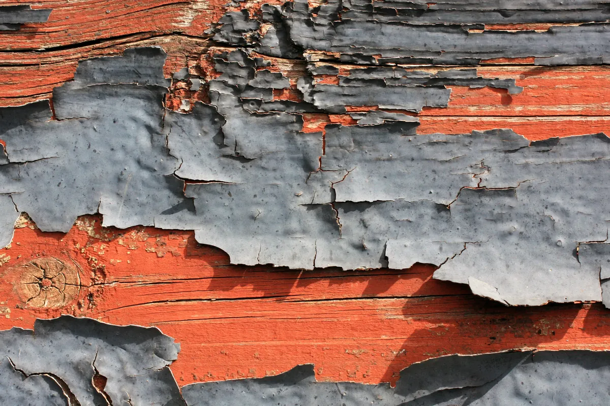 Close-up of weathered wood siding where a gray top coat of paint is cracking and peeling away to reveal an older red-orange paint layer and bare wood beneath